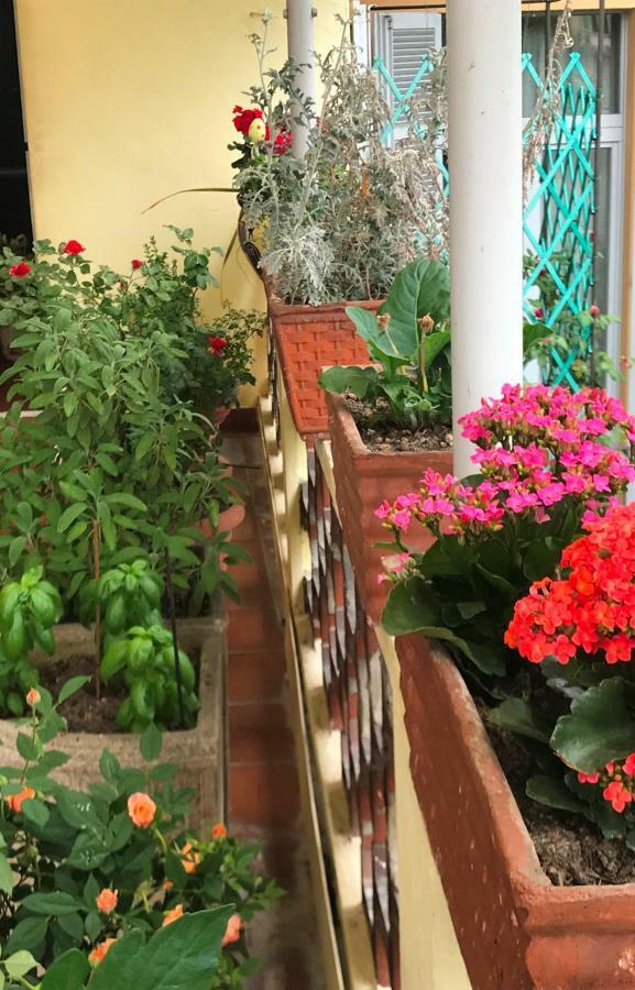 Casa Di Nonna Acomodação com café da manhã Vercelli Exterior foto