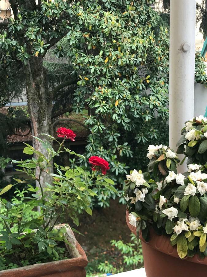 Casa Di Nonna Acomodação com café da manhã Vercelli Exterior foto