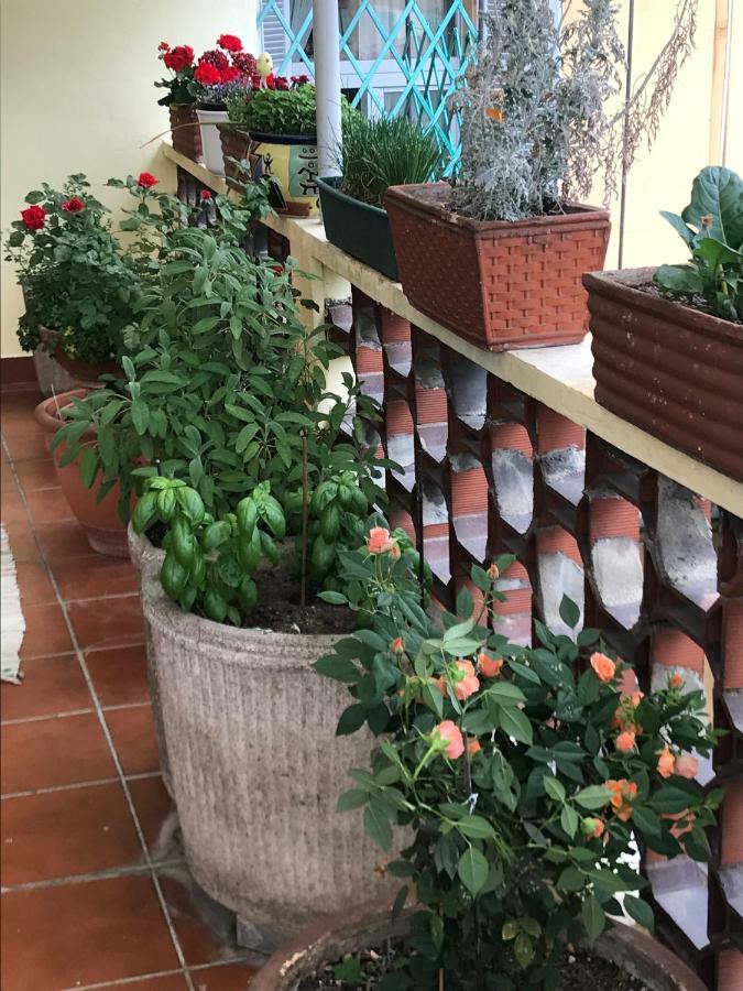 Casa Di Nonna Acomodação com café da manhã Vercelli Exterior foto
